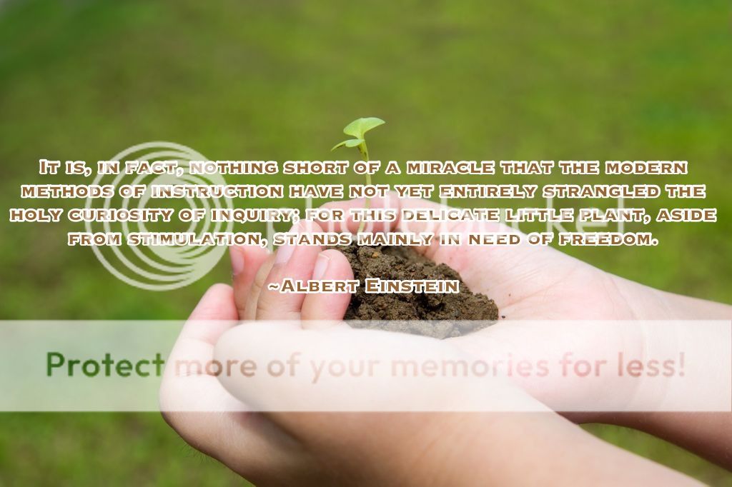 Photobucket Pictures, Images and Photos