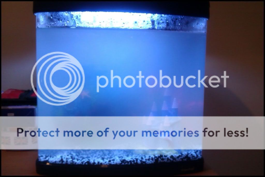 bridgingsykm tropical fish tank has gone cloudy