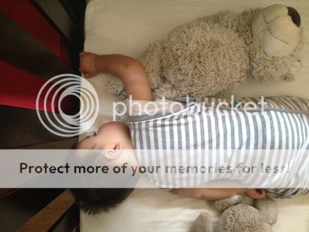 photo CsleepingwithBazzer_zps55ba37fe.jpg