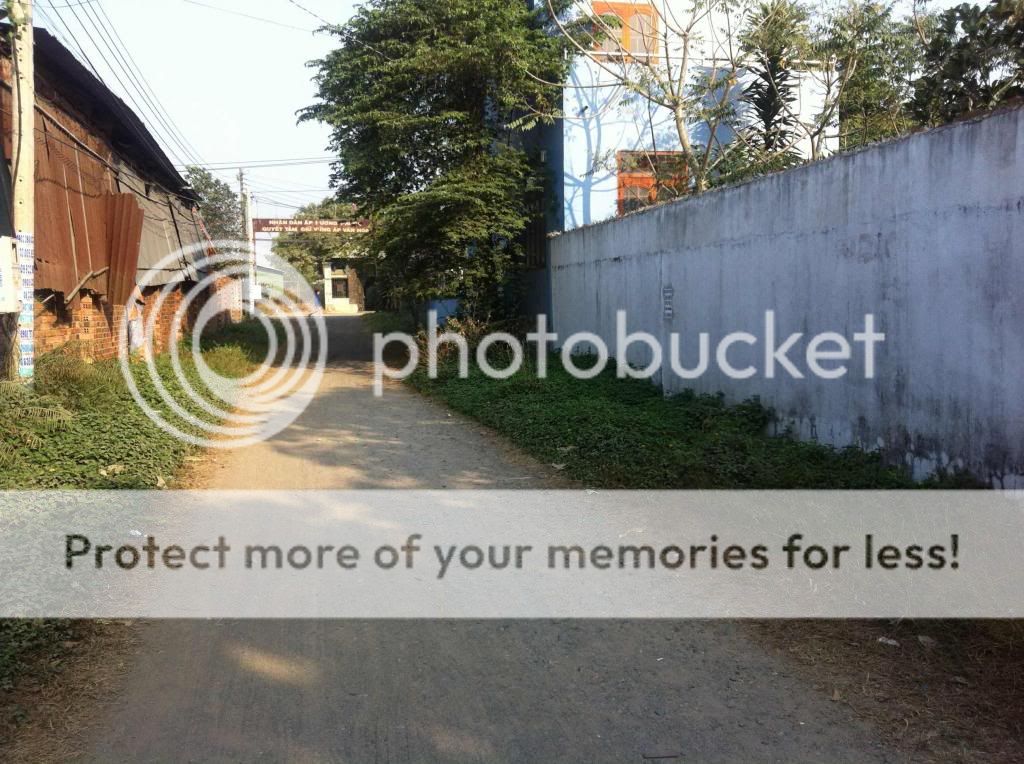 Ván sàn các loại - uy tín - - 6