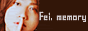 fei