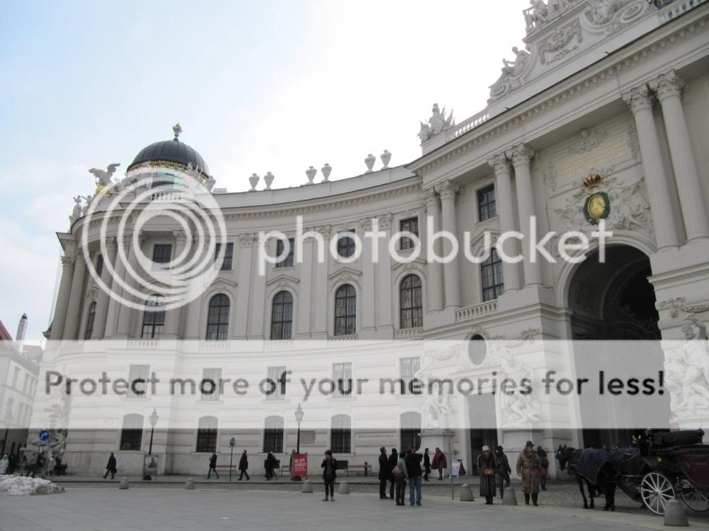photo IMG_6295_zps0a4bf26d.jpg