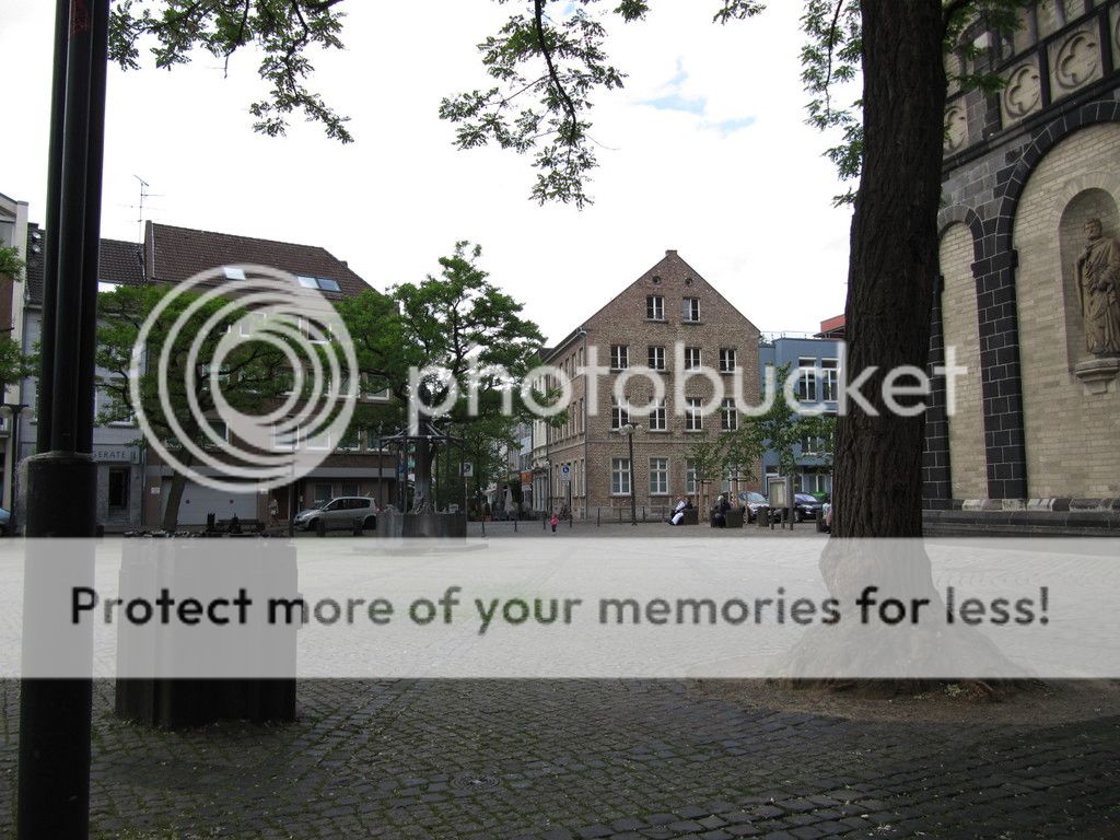 photo IMG_8542_zpslknrlxms.jpg