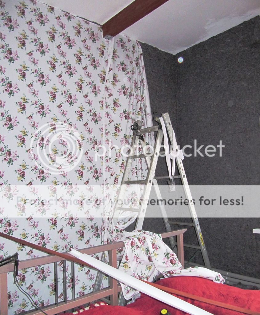 photo IMG_8437_zpswxderamm.jpg