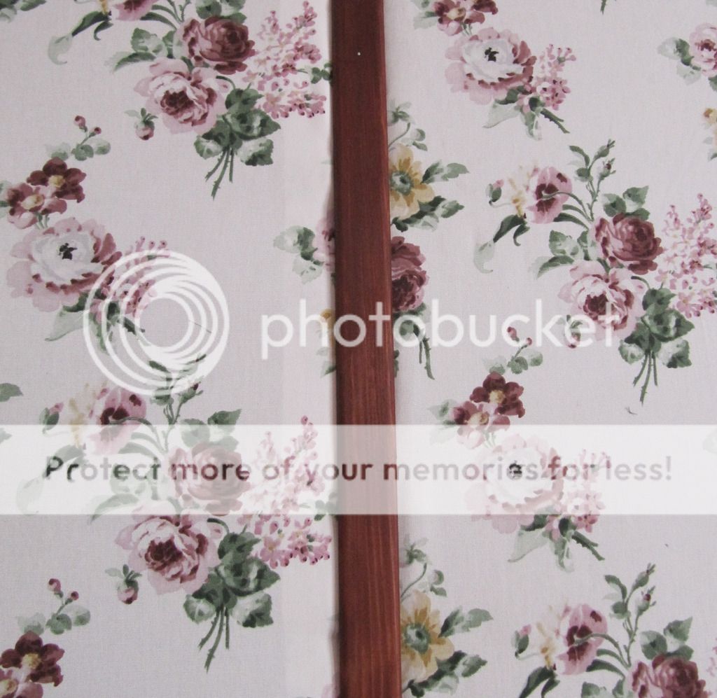 photo IMG_8441_zpsugkw4ldz.jpg