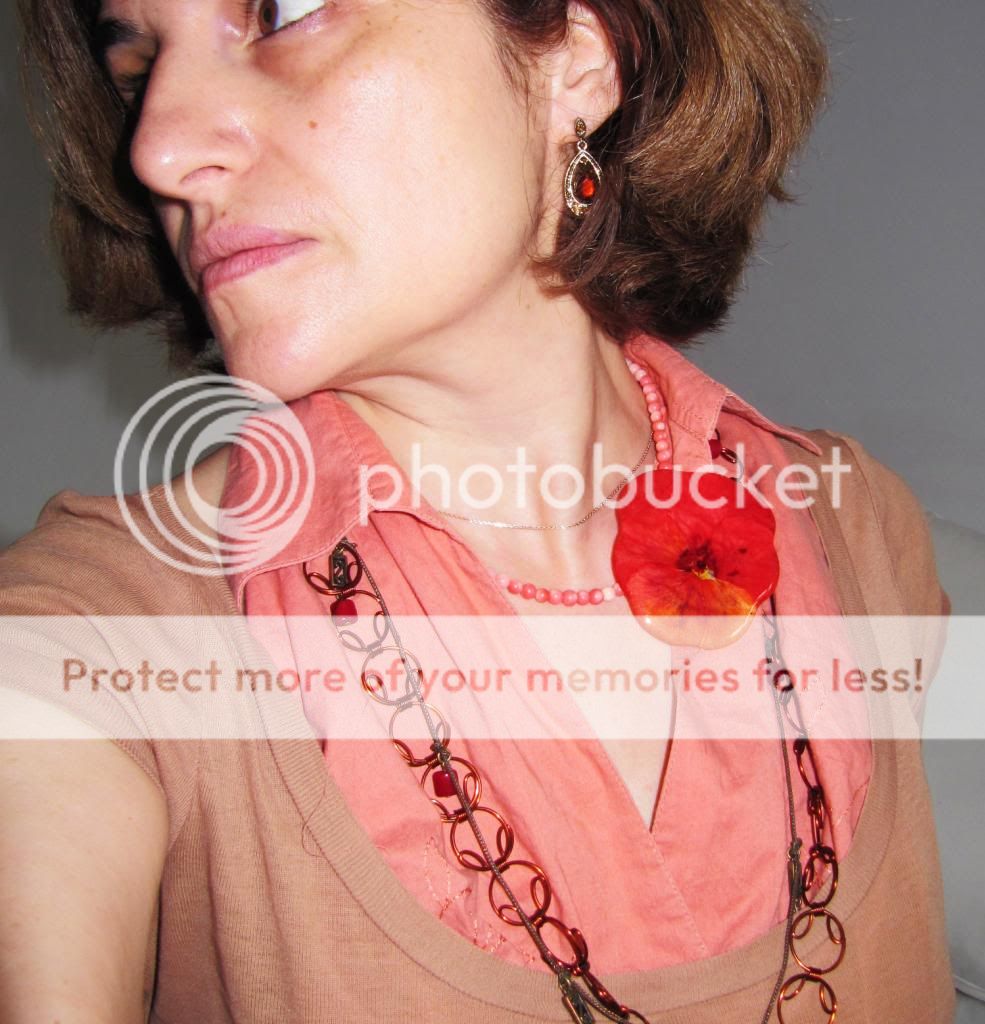 photo IMG_6550_zps07c5271e.jpg