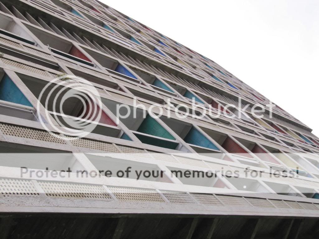 photo IMG_7536_zps2c137c78.jpg