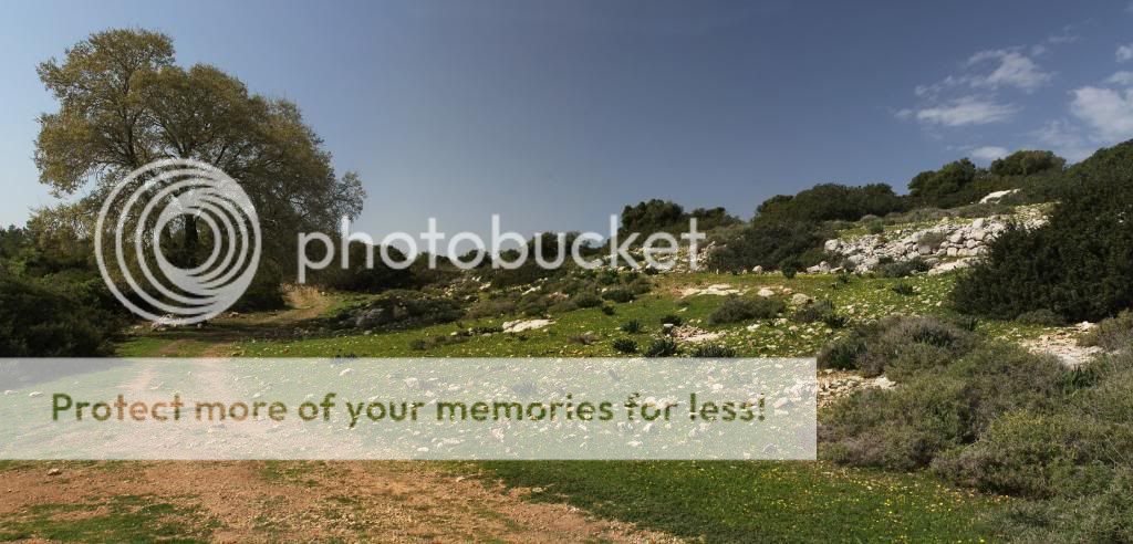 photo Sumaca.jpg